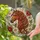 duiyfppz/products/6a2a7ac859c78519198ed669/gallery/WVLJHwkUmK