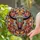 duiyfppz/products/6a2a7b4de784e48bbc681411/gallery/LlpmvR8hBm