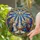 duiyfppz/products/6a2a7b6f5b689ac698ace8dc/gallery/a8omG0D9Rl