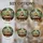 duiyfppz/products/6a2a7c7f5b689a1338aceab3/gallery/UAQMa3b60b