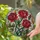 duiyfppz/products/6a2a7e3fe3c5f1da6d5d3758/gallery/S3CJqZ5GQM