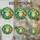 duiyfppz/products/6a2a7e5f5b689a4f07acef8c/gallery/-FmUh7AsQA