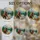 duiyfppz/products/6a2a7ec459c7855bfb8edf4f/gallery/VJiZxmTdYK