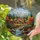 duiyfppz/products/6a2a7f674ecb3f9017373962/gallery/2TmKtk-aj-