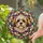 duiyfppz/products/6a2a7fafe3c5f1569e5d3c2b/gallery/KBzqbICxlO
