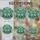 duiyfppz/products/6a2a80085b689af9d0acf438/gallery/dBT-jxzhSr