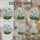 duiyfppz/products/6a2a8075e784e41d806821bd/gallery/6uHl6Q6y3o