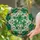 duiyfppz/products/6a2a809330fd260ff512c38a/gallery/7lMojxgKvp