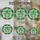 duiyfppz/products/6a2a809330fd260ff512c38a/gallery/H_dyWcfxxO