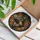 duiyfppz/products/6a2a811607c778622d8ab1d9/gallery/mJOmOs8xhr