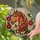 duiyfppz/products/6a2a8164134ccbeaeae44ecd/gallery/7VMN_PeStF
