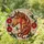 duiyfppz/products/6a2a8164134ccbeaeae44ecd/gallery/MBgGOzy2Fy