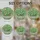 duiyfppz/products/6a2a819630fd261ae112c527/gallery/T6c6a6Tbvm