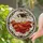 duiyfppz/products/6a2a81b6134ccb0d29e44f2e/gallery/TAI7zEE9nz