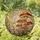 duiyfppz/products/6a2a81d4134ccbb1c9e44fad/gallery/bQDd8L9lGr