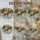 duiyfppz/products/6a2a829759c78540fb8ee78e/gallery/C8tf5Ikg_t
