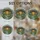 duiyfppz/products/6a2a84890cdb3b9c420feba2/gallery/3Tg9-DC6rY