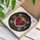 duiyfppz/products/6a2a85a50cdb3b69a00ff14b/gallery/CI-yOmz1a0