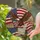 duiyfppz/products/6a2a86697e38334f44918d9f/gallery/Vnoz7quEQW