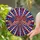 duiyfppz/products/6a2a8810afbeea246cc9fe43/gallery/2qNR3Rv01k