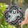 duiyfppz/products/6a2a8907f67852a87c7d0816/gallery/dhIR8edx1C