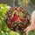 duiyfppz/products/6a2a8a6ef643f480e0921553/gallery/NDjH_xP66G