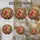 duiyfppz/products/6a2a8a6ef643f480e0921553/gallery/nPwjSDnpOO