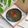 duiyfppz/products/6a2a8aa0afbeea282bca048c/gallery/EFsXg5XF2R