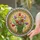duiyfppz/products/6a2a8ac695c67d7f3575edf3/gallery/0I16thvsuP