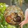 duiyfppz/products/6a2a8b140ddec45776dc1cad/gallery/-39bGoiJor