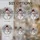 duiyfppz/products/6a2a8b8a6369511be15271bc/gallery/hBKt0To31Y