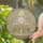 duiyfppz/products/6a2a8c94afbeeabab8ca0689/gallery/MSoAfdInee