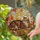 duiyfppz/products/6a2a8d549d11147cc36debe9/gallery/lAIhh_AyuW