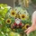 duiyfppz/products/6a2a8e31afbeea1003ca086b/gallery/JfrETxTxg9