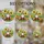duiyfppz/products/6a2a8e31afbeea1003ca086b/gallery/tNB2YQd4WN