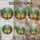 duiyfppz/products/6a2a8e4030fd26db6312d8f6/gallery/LPTR2lFsB2
