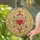 duiyfppz/products/6a2a8ec00ddec440ffdc212b/gallery/fRW9aIAAYa