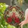 duiyfppz/products/6a2a8f1f30fd2633dd12daa3/gallery/UeEthKA7oQ
