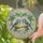 duiyfppz/products/6a2a8f8f2b6c4a0fbbaaac1b/gallery/1ajlmSdjLc