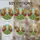 duiyfppz/products/6a2a911bf643f45a70922202/gallery/HGg213YYrX