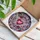 duiyfppz/products/6a2a91eed1fe396f4369a57c/gallery/wD0X3hgaqH