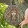 duiyfppz/products/6a2a939cf643f45dd89226ad/gallery/JbxBjb_ntb