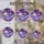 duiyfppz/products/6a2a93ad636951bb94528373/gallery/yC6UHiExee