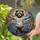 duiyfppz/products/6a2a9444636951fa4e528415/gallery/5z0ElBQXhL
