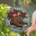 duiyfppz/products/6a2a95d2afbeea1730ca16cb/gallery/z7oqe0BbBZ