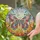 duiyfppz/products/6a2a990a53ae58d8baef966d/gallery/RAjc9nlM_7