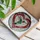 duiyfppz/products/6a2a9a44636951f340528c8b/gallery/5HDW_UfYei
