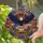 duiyfppz/products/6a2a9be7afbeea60a4ca1f64/gallery/HlJUDcKf7e