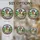 duiyfppz/products/6a2a9ce8636951cc125290bd/gallery/3dU48vzLNF