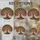 duiyfppz/products/6a2a9d2aafbeea66ccca2116/gallery/pRxM5tVL8H
